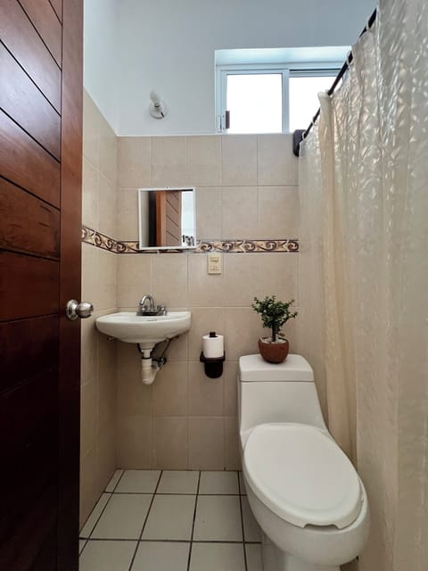 Shower, towels, soap, toilet paper