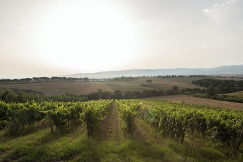 Land view from property