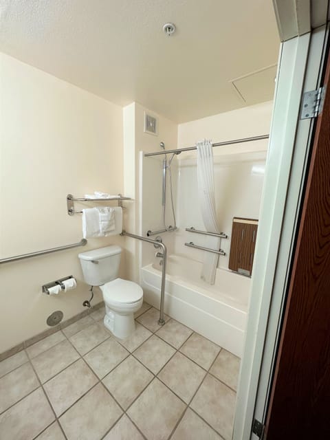 Standard Room, 1 King Bed, Accessible | Bathroom | Combined shower/tub, free toiletries, hair dryer, towels