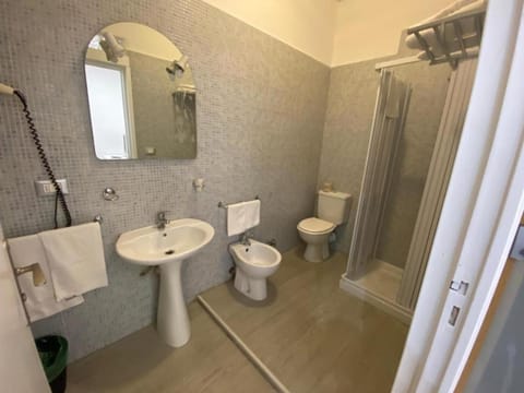 Shower, free toiletries, hair dryer, bidet