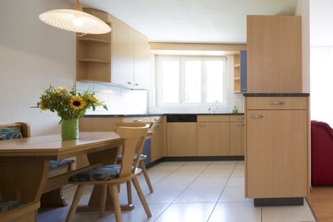 Apartment, 2 Bedrooms | Private kitchen