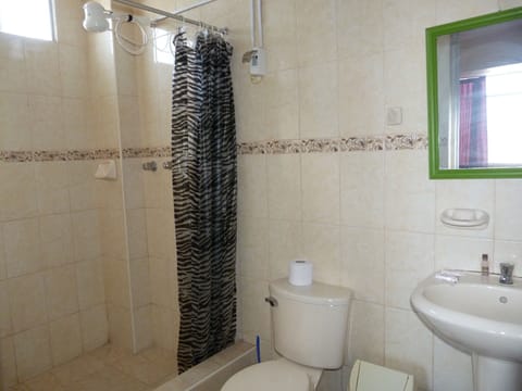 Quadruple Room | Bathroom | Shower, free toiletries, towels