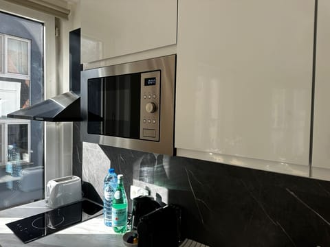 Basic Apartment | Private kitchen | Fridge, microwave, oven, stovetop