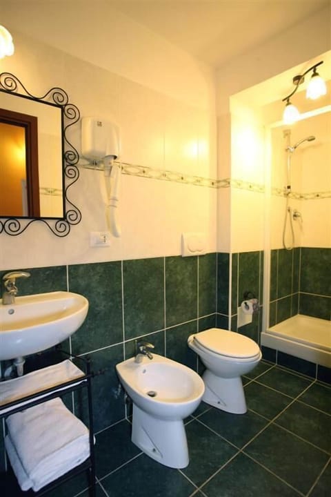 Shower, free toiletries, hair dryer, bidet