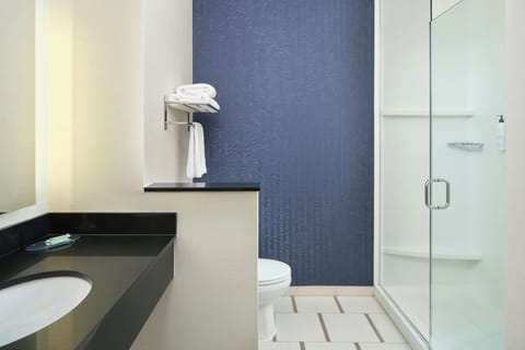 Combined shower/tub, free toiletries, hair dryer, towels