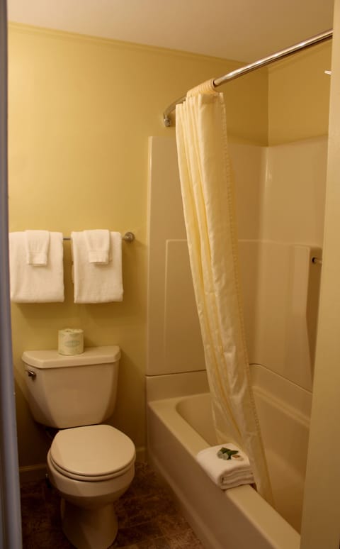 Combined shower/tub, hair dryer, towels