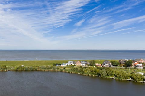 Apartment | View from property