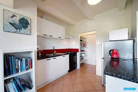 Panoramic Apartment, 1 Bedroom | Private kitchen | Full-size fridge, microwave, stovetop, coffee/tea maker