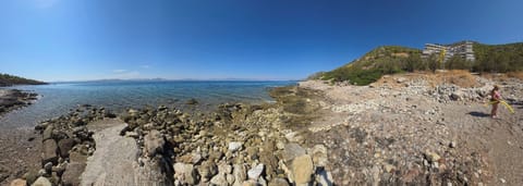 Apartment, 1 Bedroom, Ocean View | Beach