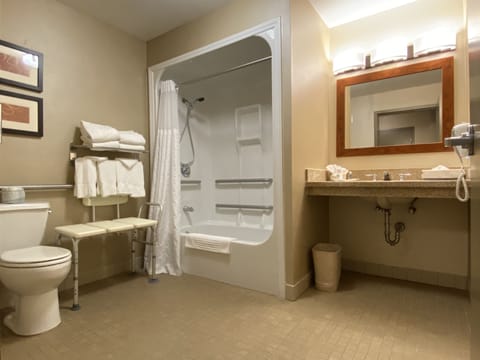 Combined shower/tub, free toiletries, hair dryer, towels