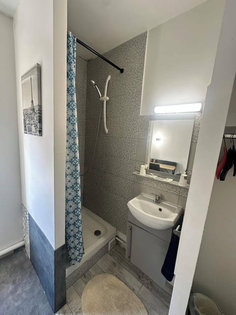 Double Room (with shower) | Bathroom | Shower, free toiletries, towels