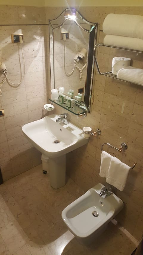 Shower, free toiletries, hair dryer, bidet