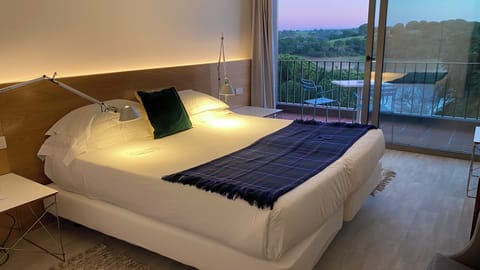 Superior Double Room, Balcony, River View | Minibar, in-room safe, free WiFi