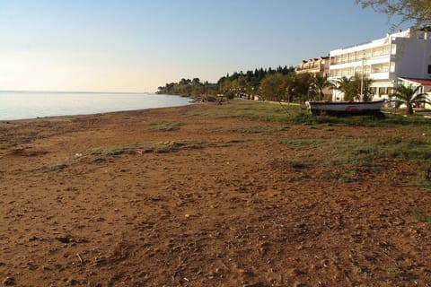 On the beach