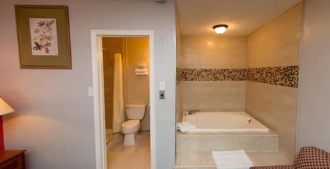 Combined shower/tub, free toiletries, towels