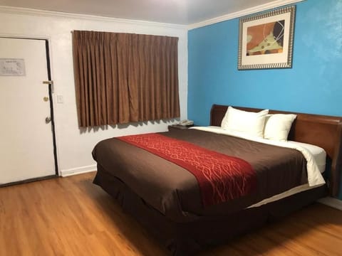 Standard Single Room | Desk, laptop workspace, free WiFi, wheelchair access