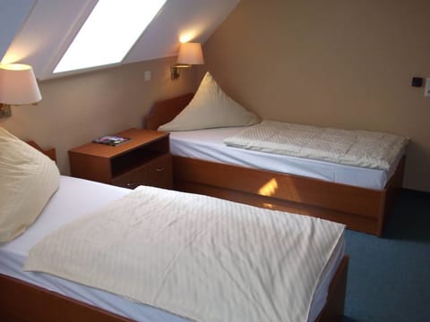 Standard Twin Room | Desk, laptop workspace, rollaway beds, free WiFi