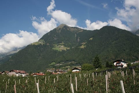 Standard Double Room, Balcony | Balcony view
