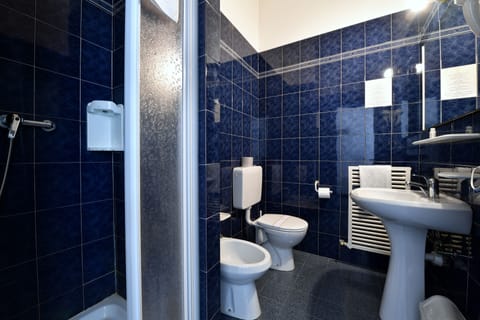 Single Room | Bathroom | Shower, rainfall showerhead, hair dryer, bidet