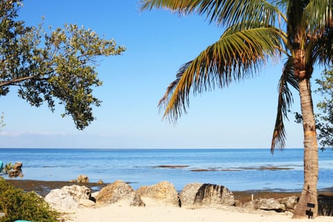 Beach/ocean view