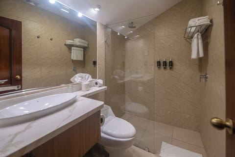 Combined shower/tub, free toiletries, hair dryer, towels