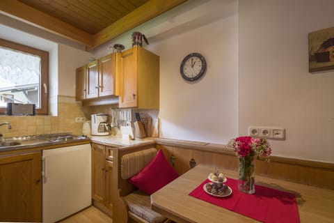 Studio, 1 Doppelbett, Balkon, Bergblick | Private kitchen | Fridge, stovetop, coffee/tea maker, electric kettle