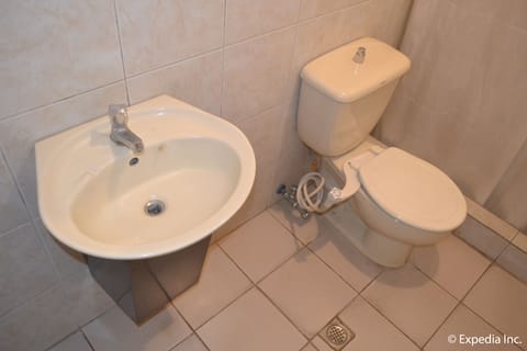 Shower, free toiletries, bidet, towels