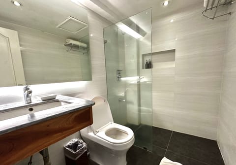 Superior Room | Bathroom | Shower, free toiletries, towels