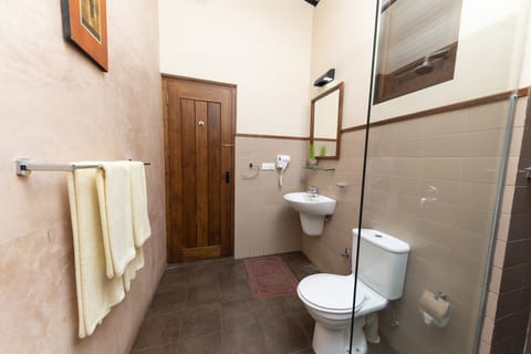 Deluxe Double or Twin Room, Mountain View | Bathroom | Shower, free toiletries, hair dryer, bathrobes