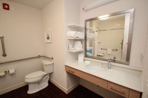 Combined shower/tub, free toiletries, hair dryer, towels