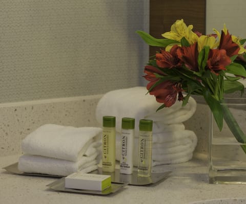 Combined shower/tub, eco-friendly toiletries, hair dryer, towels