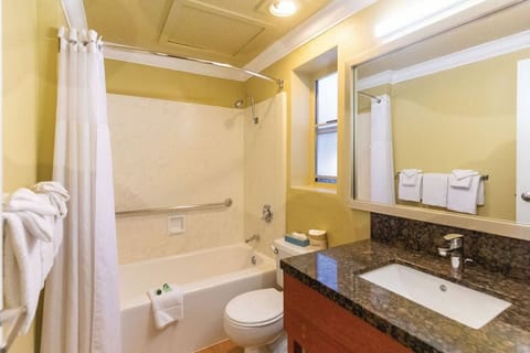 Combined shower/tub, free toiletries, hair dryer, towels