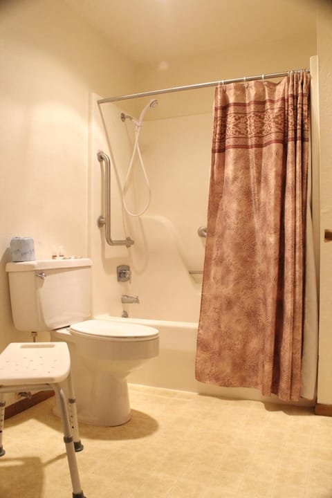 Combined shower/tub, free toiletries, towels