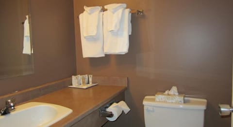 Combined shower/tub, free toiletries, hair dryer, towels