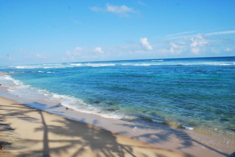 On the beach