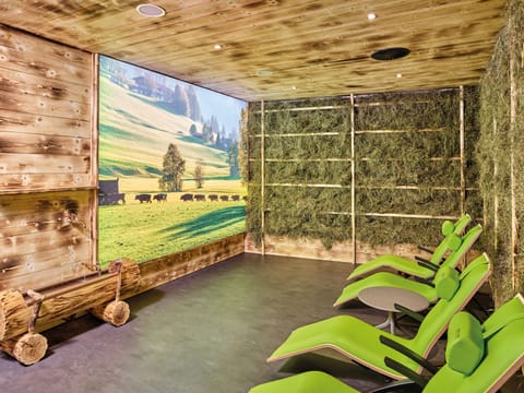 Sauna, body treatments, body scrubs, facials, massage/treatment rooms