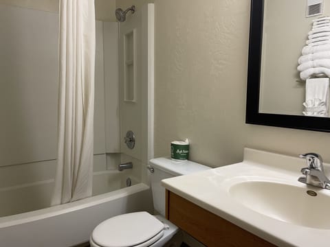 Combined shower/tub, free toiletries, hair dryer, towels