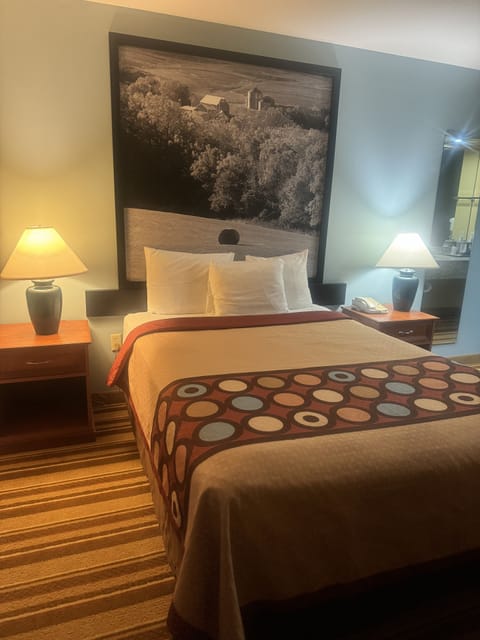 Room, 1 Queen Bed, Accessible, Non Smoking (Mobility Accessible) | In-room safe, individually decorated, individually furnished, desk