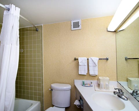 Combined shower/tub, free toiletries, hair dryer, towels