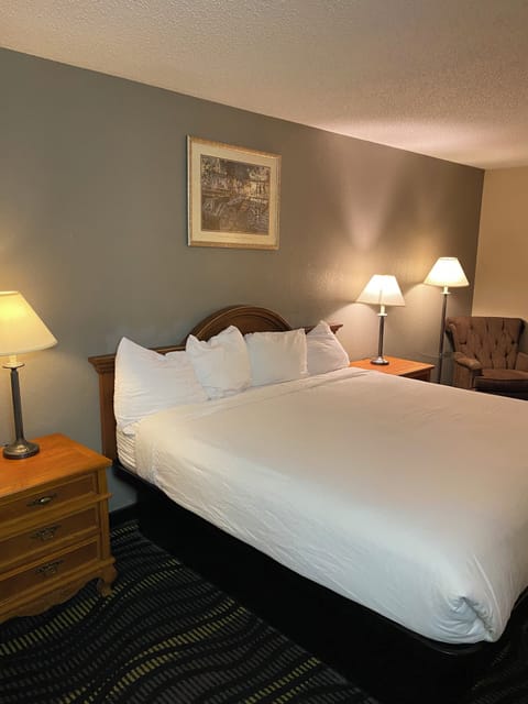 Standard Room, 1 King Bed | In-room safe, blackout drapes, iron/ironing board, free rollaway beds