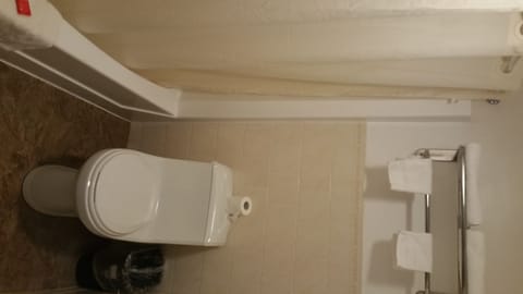 Combined shower/tub, free toiletries, hair dryer, towels