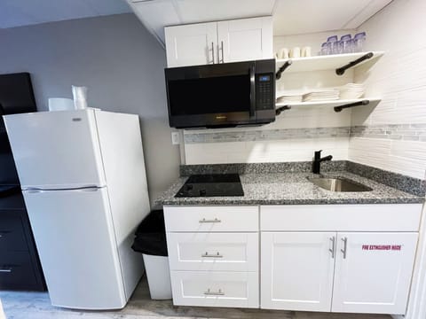 Efficiency Suite | Private kitchen | Fridge, microwave