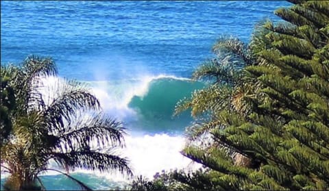 Beach nearby, white sand