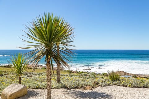 Beach nearby, white sand