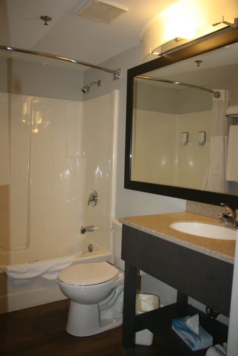 Room, 2 Double Beds, Non Smoking, Ground Floor | Bathroom | Combined shower/tub, free toiletries, hair dryer, towels