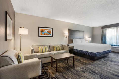 Executive Room, 1 King Bed, Non Smoking, Refrigerator & Microwave | Down comforters, pillowtop beds, desk, blackout drapes