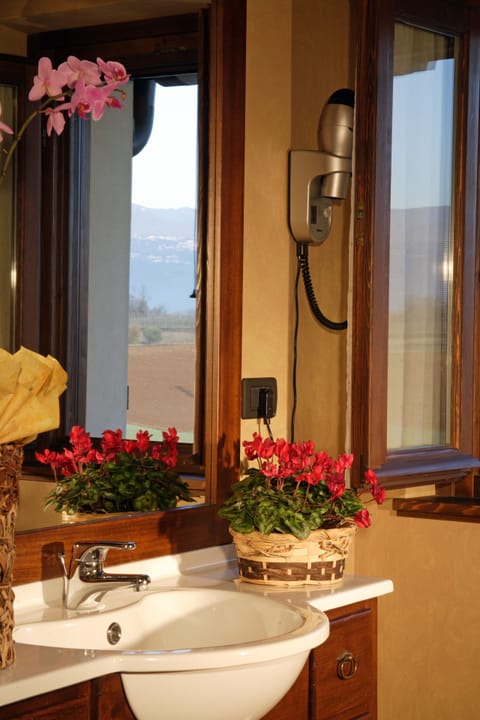 Shower, rainfall showerhead, free toiletries, hair dryer