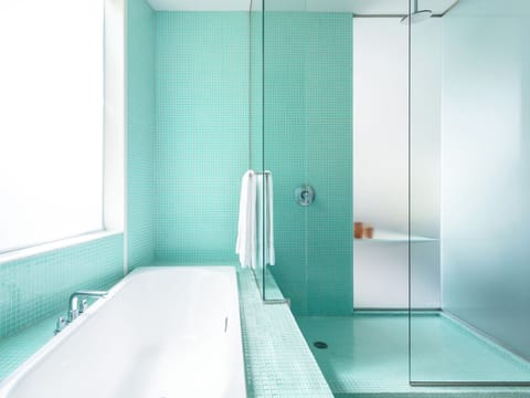 Premium Suite (Suite B) | Bathroom shower