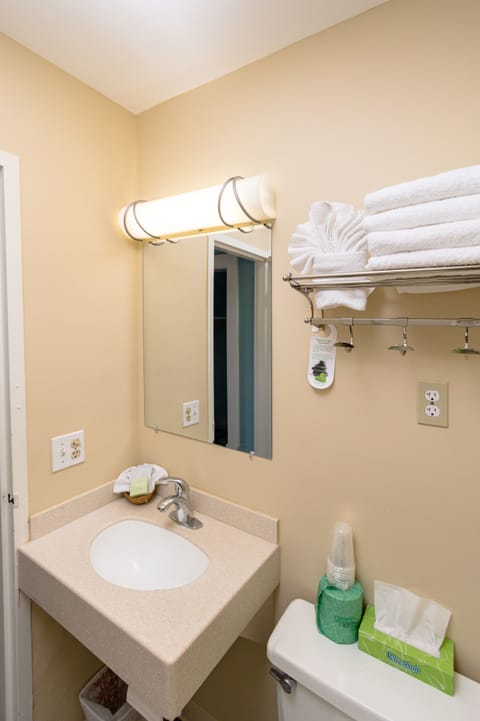 Couple Room with 1 Queen Bed | Bathroom | Combined shower/tub, designer toiletries, towels, toilet paper