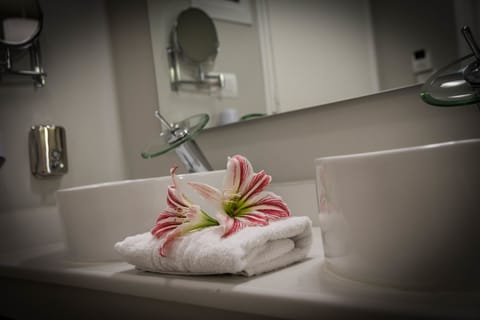 Family Room | Bathroom | Shower, free toiletries, hair dryer, towels